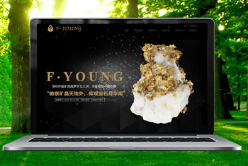 ÷�ݸ������ﱦʯ